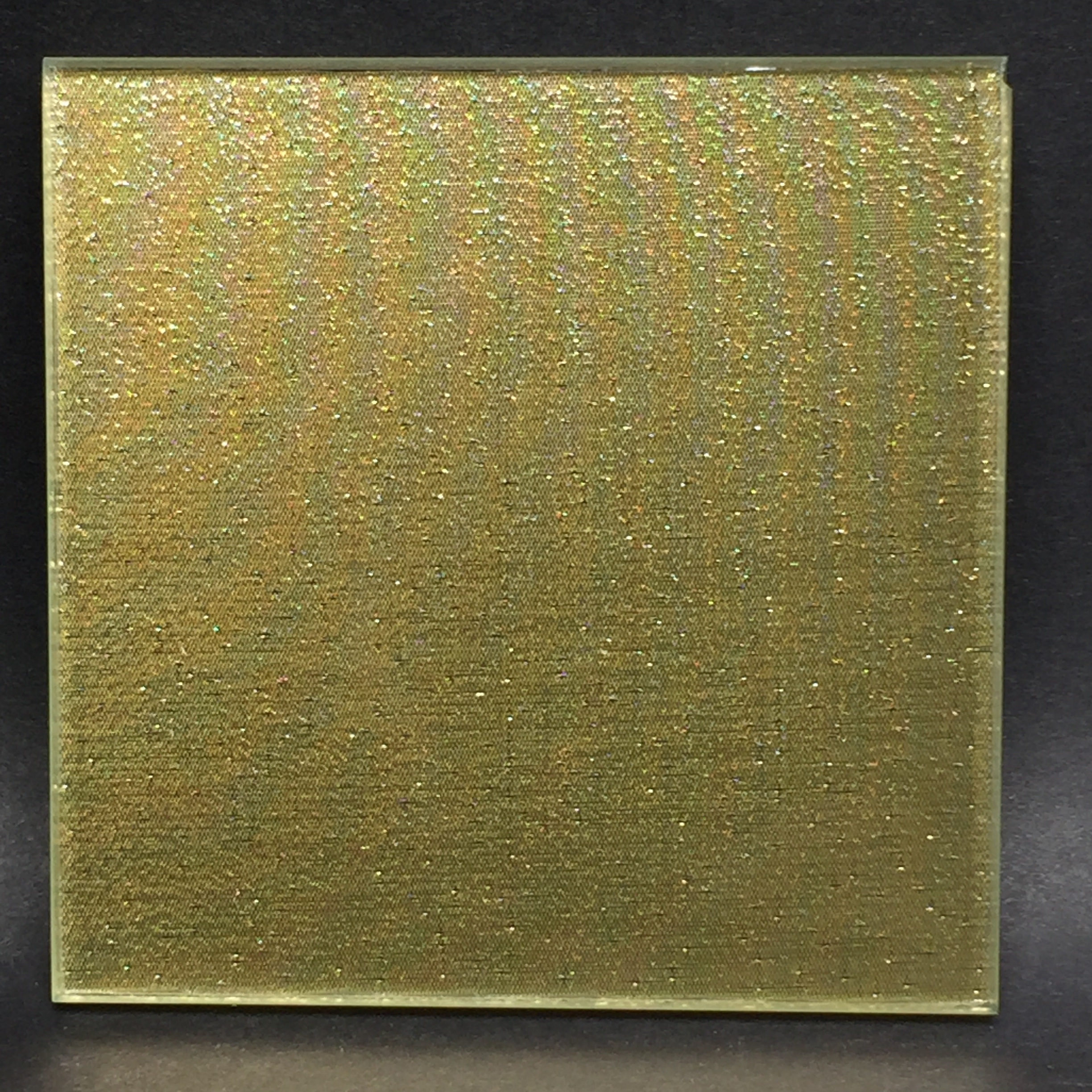 DG0029