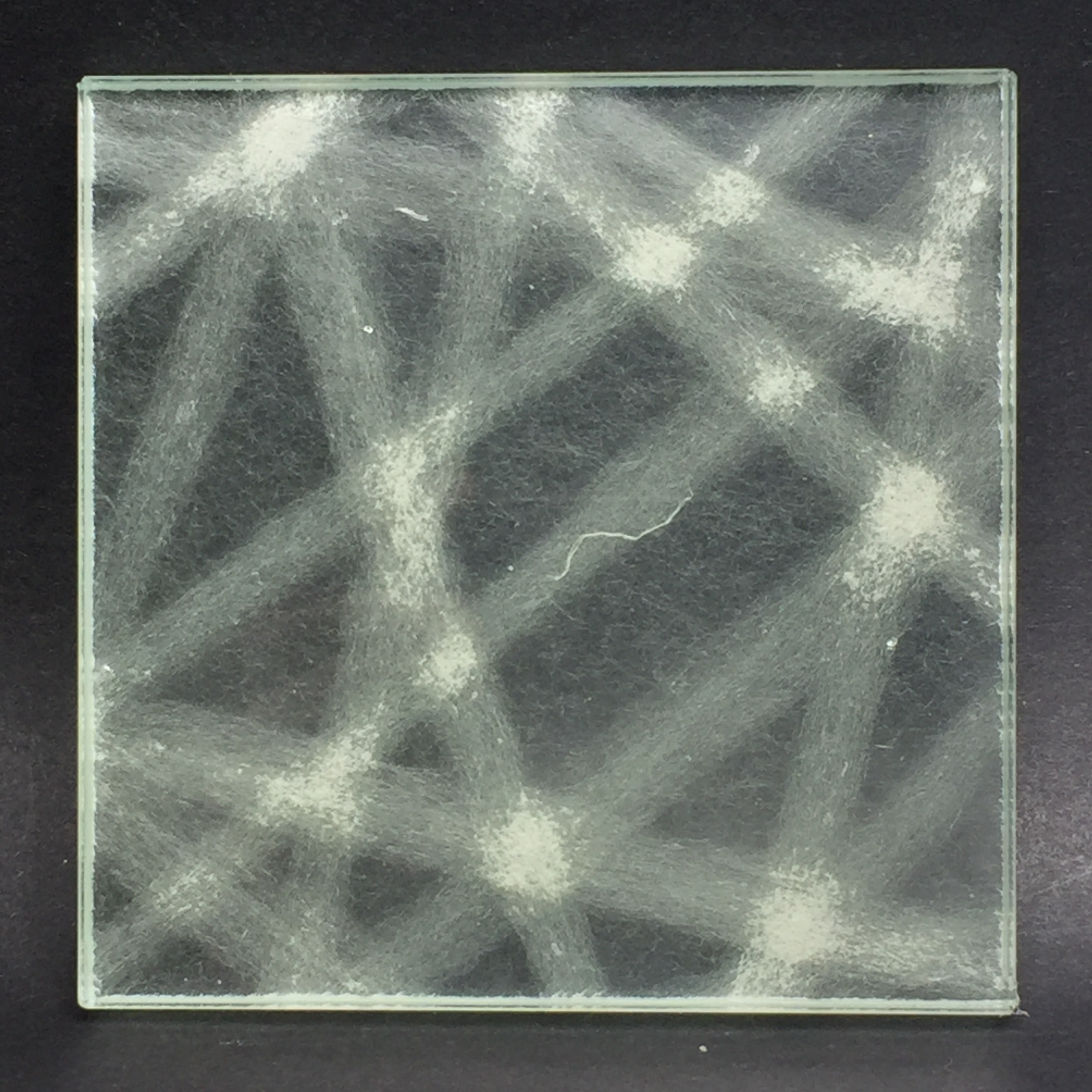 DG2001